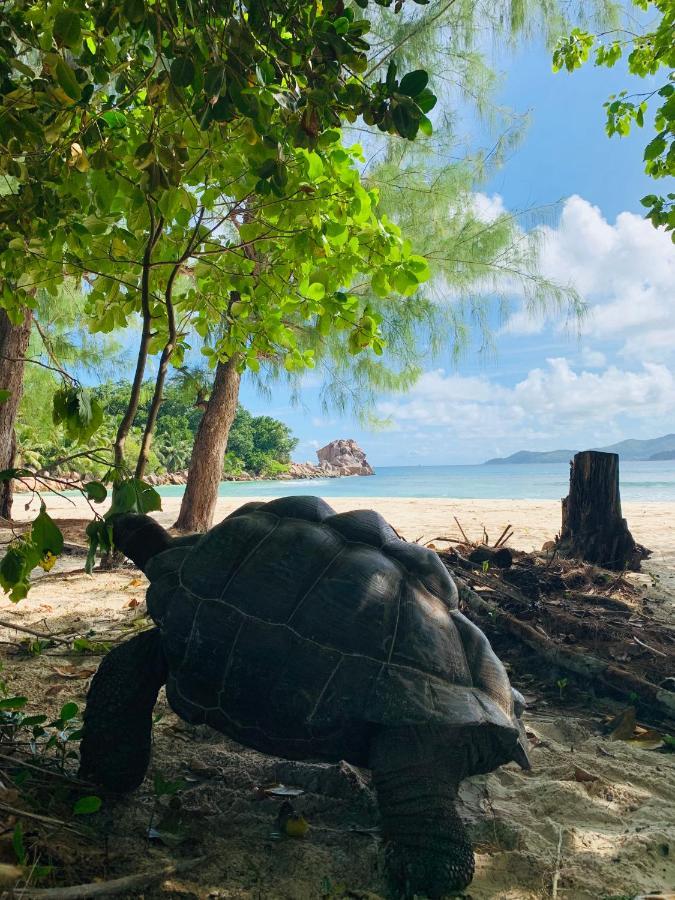 O'Soleil Chalets Self Catering La Digue Zewnętrze zdjęcie