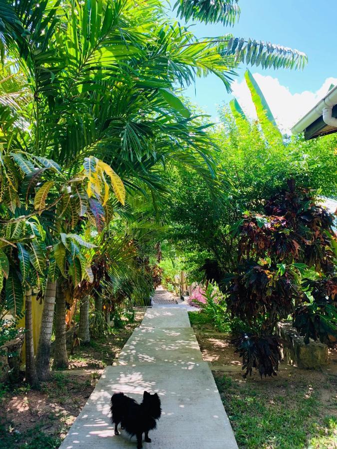O'Soleil Chalets Self Catering La Digue Zewnętrze zdjęcie